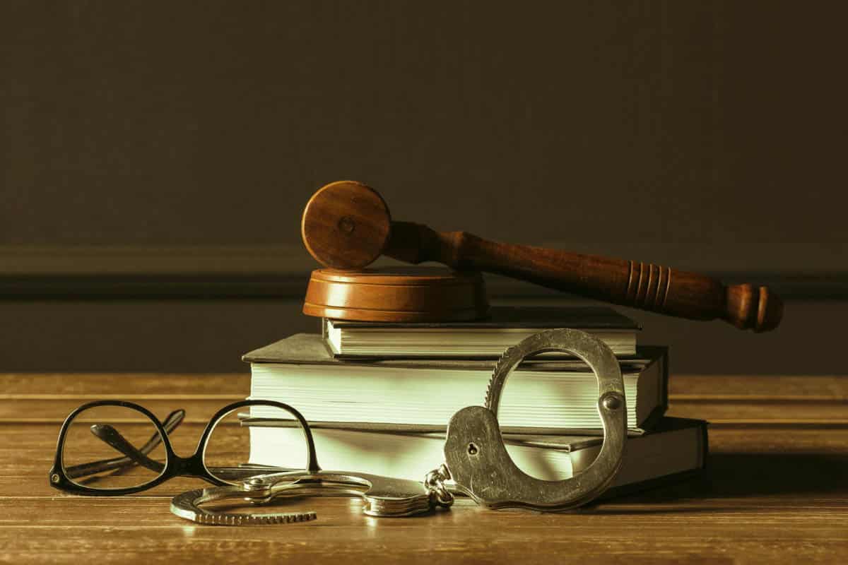 Més informació sobre l'article Cras metus sed aliquet risus a tortor